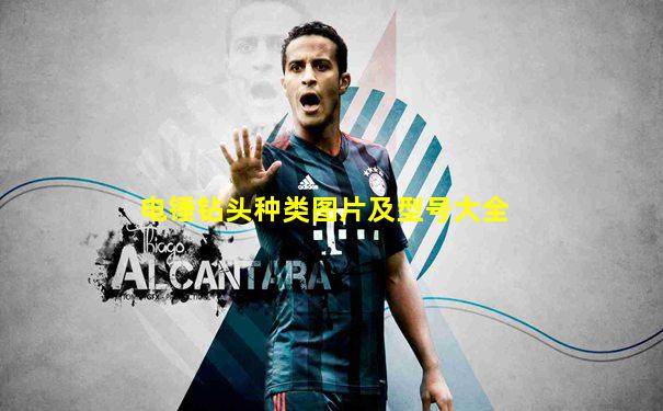 电锤钻头种类图片及型号大全