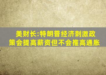 美财长:特朗普经济刺激政策会提高薪资但不会推高通胀
