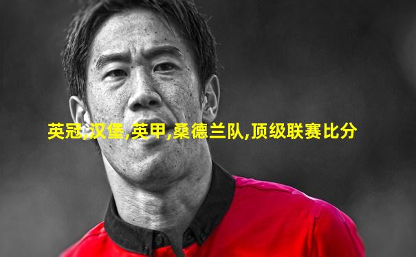 英冠,汉堡,英甲,桑德兰队,顶级联赛比分