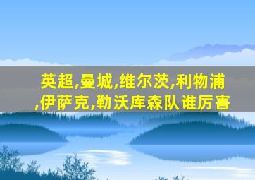 英超,曼城,维尔茨,利物浦,伊萨克,勒沃库森队谁厉害