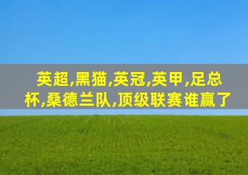 英超,黑猫,英冠,英甲,足总杯,桑德兰队,顶级联赛谁赢了