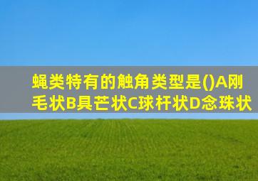 蝇类特有的触角类型是()A刚毛状B具芒状C球杆状D念珠状