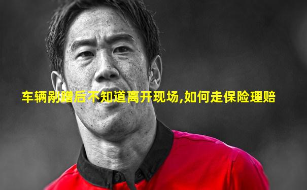 车辆剐蹭后不知道离开现场,如何走保险理赔