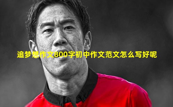 追梦想作文800字初中作文范文怎么写好呢