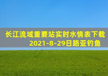 长江流域重要站实时水情表下载2021-8-29日路亚钓鱼
